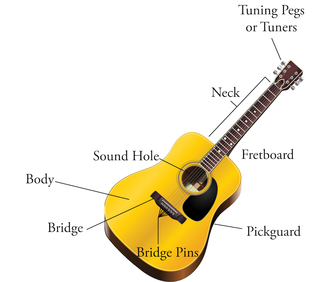 guitar anatomy image two